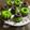 Cooksnap dari Yuni Suryaningsih untuk resep Bolu Pandan Ketan Hitam Kukus