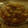El cooksnap de Numa Bioru cuando hizo Guiso de patatas con tiras de bacon.