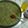 Vandna bosamiya's cooksnap of when they made મગ ની દાળના ઢોકળા (Moong Dal Dhokla Recipe In Gujarati).