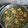 El cooksnap de Mario H. Davi cuando hizo Rica y simple sopa de verduras😊.