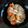 DangerousDave's cooksnap of when they made Slow Cooker Thai Green Curry Chicken.