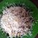 Cooksnap dari khansa syifa untuk resep Pancake Simple Dengan Telur