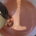 El cooksnap de Laura Ramos cuando hizo Helado Casero de Frutilla con Pedazos de chocolate.