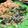 Cooksnap dari Zulianda Norma untuk resep Urap Sayuran (Bumbu Urap Versi Kukus)
