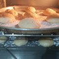 El cooksnap de hobeannie cuando hizo Galletas con chocolate/ cookies.