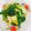Cooksnap của Ngọc Luyến khi họ làm theo món Cải thìa xào tỏi🌿🌿