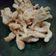 Cooksnap dari shita Takarina untuk resep Jamur Crispy