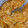 Cooksnap de Cecilia Soares quando cozinhou Strogonoff de Frango.