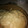 El cooksnap de Maria Isabel Ruz Diaz cuando hizo Lomo con nata y champiñones en MC.