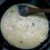 La cooksnap de Chantal Solorzano Garcia cuando cocinó Salsa de crema al verdeo fácil