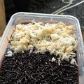 Cooksnap dari Immatus Alandari untuk resep Brownies Lumer Cup