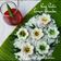 Cooksnap dari Wids Kitchen 🍀🌷 untuk resep Kue putu bambu tanpa bambu