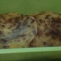 Cooksnap dari Lusy untuk resep Roti Maryam Coklat ala Evi