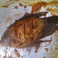 Cooksnap dari Ayu Karina untuk resep Gurame bakar kecap madu