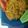 Cooksnap dari Dwi januari untuk resep Mie tiaw goreng