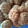 El cooksnap de Sole Pros cuando hizo Galletas de Avena y Miel.
