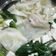 Cooksnap dari Ummu Sulaiman untuk resep Wonton Soup / Pangsit Rebus