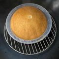 劉輝 的 簡單版《港式蔗糖馬拉糕》 cooksnap