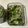 HSIEH CHIA HSING 的 蔥鹽醬 cooksnap