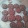 El cooksnap de Trinidad Meza cuando hizo Galletas de avena y chocolate.