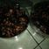 Cooksnap dari nining lestari untuk resep Coklat Chococrunch