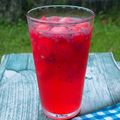 Cooksnap dari nidarudi untuk resep Es Sirup bola-bola Semangka dan Selasih
