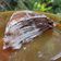 Cooksnap dari Esty Ramadhani untuk resep Milo Mille Crepes