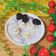 jocelin13 的 角落白熊水果優格 cooksnap