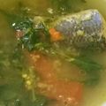 Cooksnap dari Azizah untuk resep Mpasi 12 bulan "Sup Ikan Gabus"