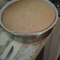 El cooksnap de Maria Flores cuando hizo Bizcochuelo Para molde N° 25.