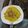 El cooksnap de Edward Sandoval cuando hizo Pasta en salsa con champiñones y atún.
