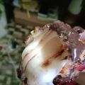 Cooksnap dari Ikha Monika untuk resep Corndog Mozarella Nyoklat