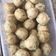 Cooksnap dari ayu fitriani untuk resep Pempek Adaan Ikan Gabus anti Kempes dan Enak 👍