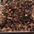 liizzyylame's cooksnap of when they made Flora's Slap Yo Momma Dirt Cake.