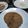 Cooksnap dari Anna Slamet Setiyowati untuk resep Pancake Labu Kuning