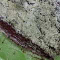 Cooksnap dari Coni Agustin untuk resep Brownies keju panggang magic com 😁