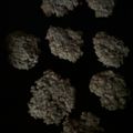 El cooksnap de Lorena Ramírez Borges cuando hizo Galletitas de avena y coco.