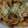 El cooksnap de Liz Rojas cuando hizo Guiso de fideos simple.