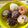 Cooksnap dari Tan Kitchen II untuk resep Donat susu Dancow