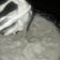 El cooksnap de rosy cuando hizo Merengue suizo.