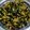 Varsha Ingole Bele's cooksnap of when they made शेपू मूग डाळ भाजी (sepu moong dal bhaji recipe in marathi).