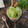 Cooksnap dari iiswatizain untuk resep Es krim Daun kelor #pekaninspirasi
