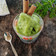 Cooksnap dari iiswatizain untuk resep Es krim Daun kelor #pekaninspirasi