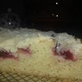 El cooksnap de Naty Ljubezen cuando hizo Torta de ciruelas frescas con crumble.