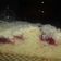 El cooksnap de Naty Ljubezen cuando hizo Torta de ciruelas frescas con crumble.