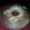 El cooksnap de Evelyn cuando hizo Budín de limón fácil.