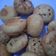 Cooksnap dari Detty Tj untuk resep Poffertjes