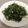 Daphne 的 蒜炒空心菜 cooksnap