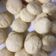 El cooksnap de Ori Gonzalez Prandi cuando hizo Scones de queso.