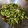 Cooksnap dari Liely Viriana untuk resep Tumis Cuciwis